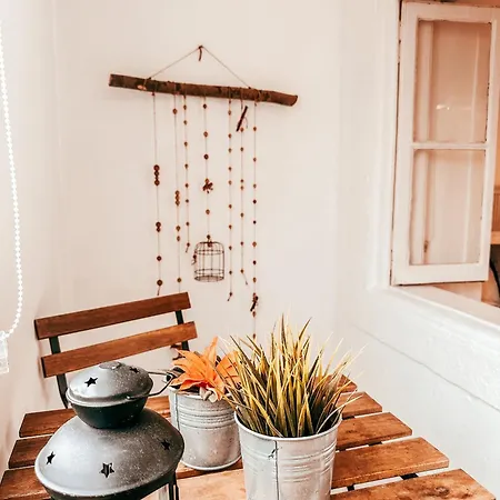 Apartament Typical By Gt House