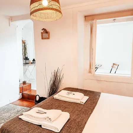 Apartament Typical By Gt House *